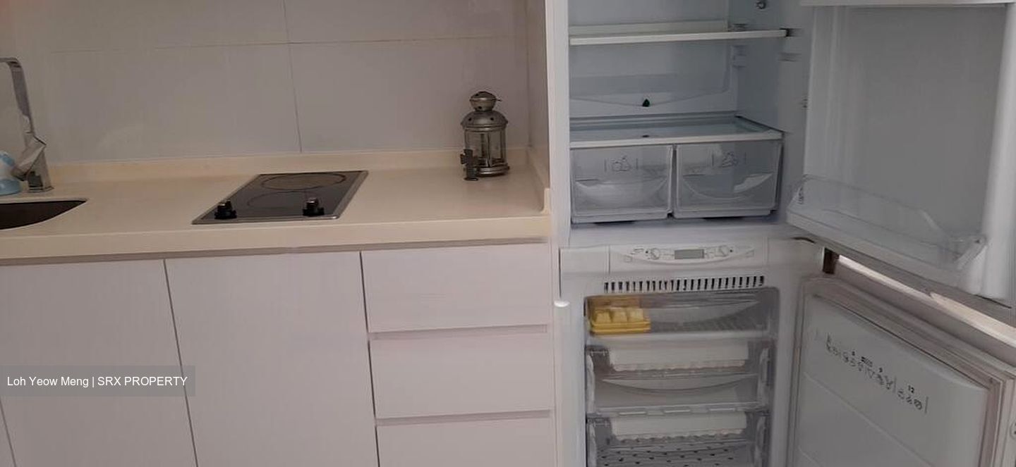 Joo Chiat Place (D15), Apartment #528021881